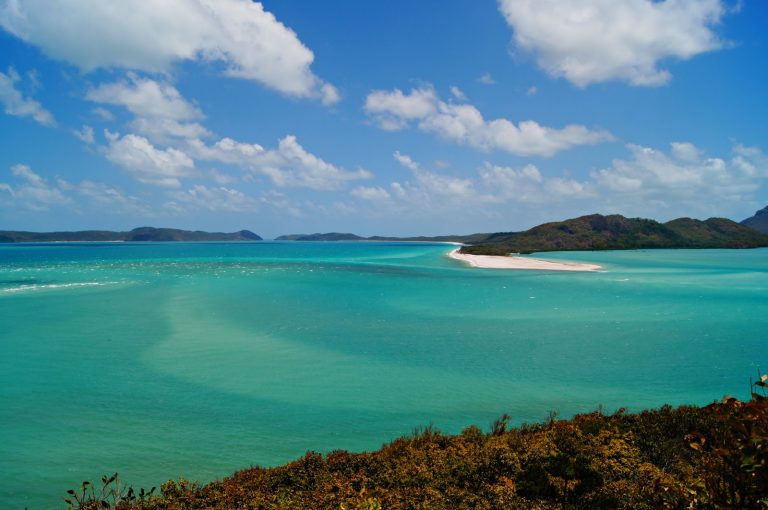 Crisol Internacional: “Un día de playa en Australia”…