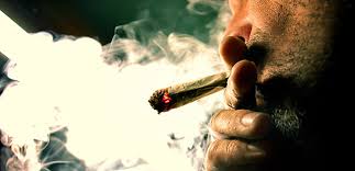 LAS NARCOTIENDITAS DEL AMADO