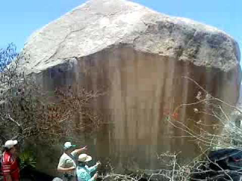 Beneficios al comer platano macho