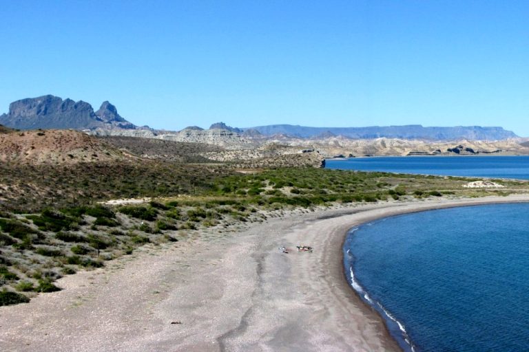 Playas de BCS: PLAYA PUNTA COYOTE