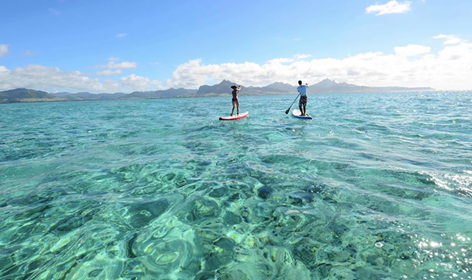 Principales atractivos en Baja Sur: Stand up Paddle Board