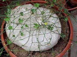 Efectos de un buen masaje