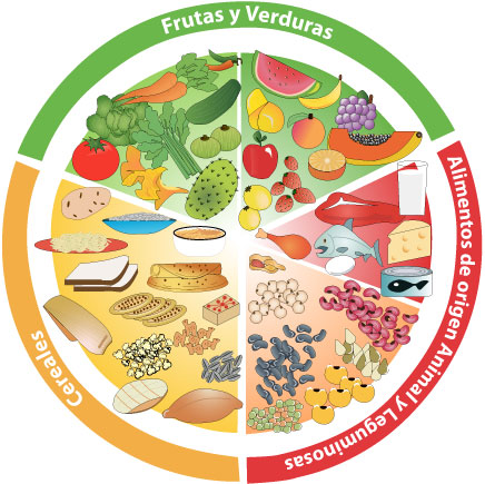 El Importante Papel de Las Enzimas en Nuestra Alimentación.