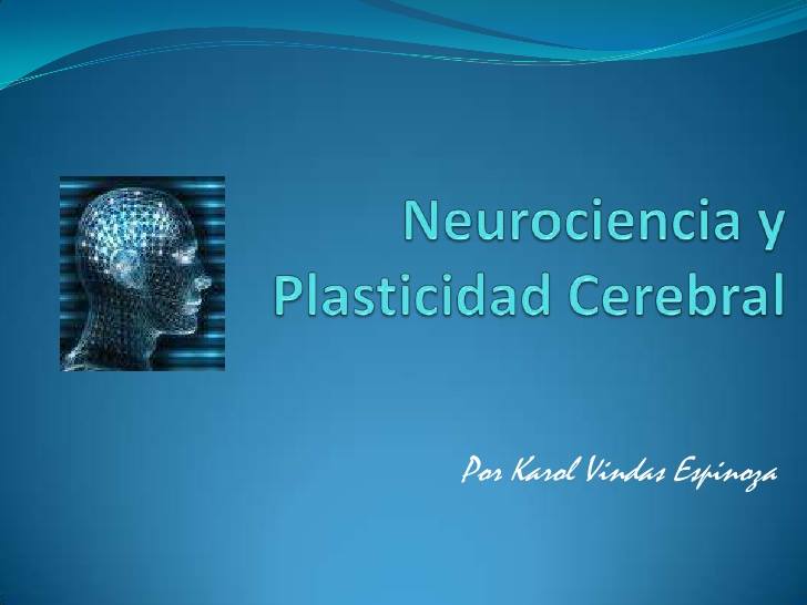 “La Influencia de Nuestro Cerebro en Nuestros Nuevos Propósitos”  Parte II: “La plasticidad del cerebro humano y su remodelación o reprogramación”