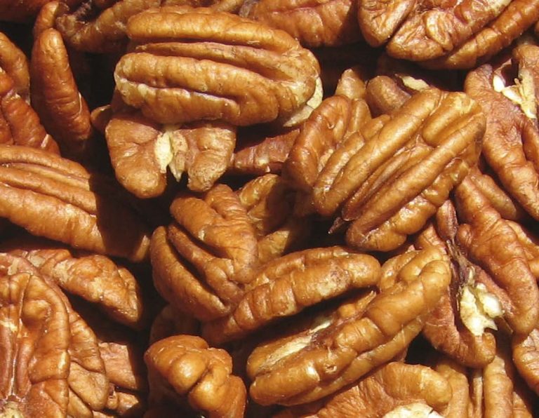 Buena salud sudcalifornia: BENEFICIOS DE COMER NUECES