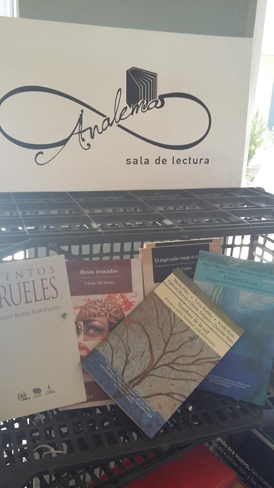 Sala de Lectura Analema