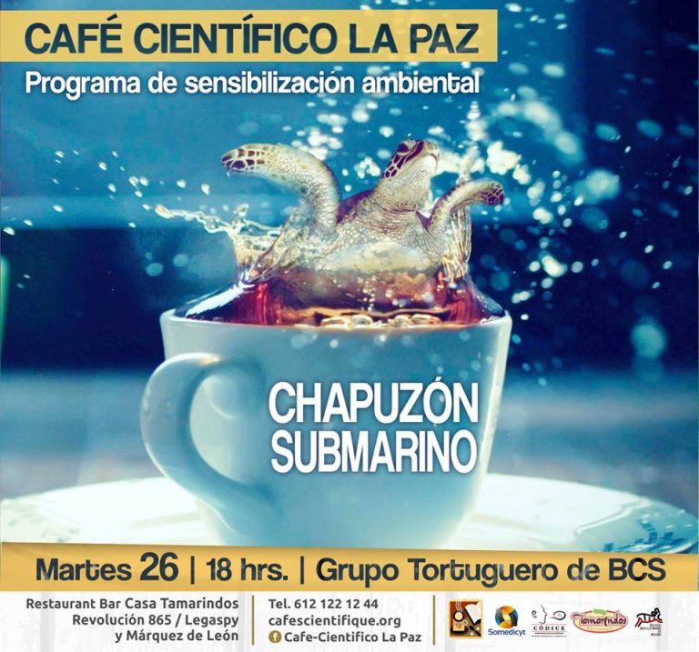 Café científico: chapuzón submarino