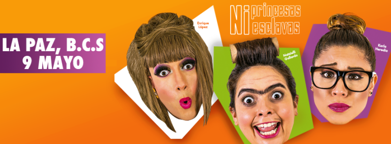 Ni Princesas Ni Esclavas
