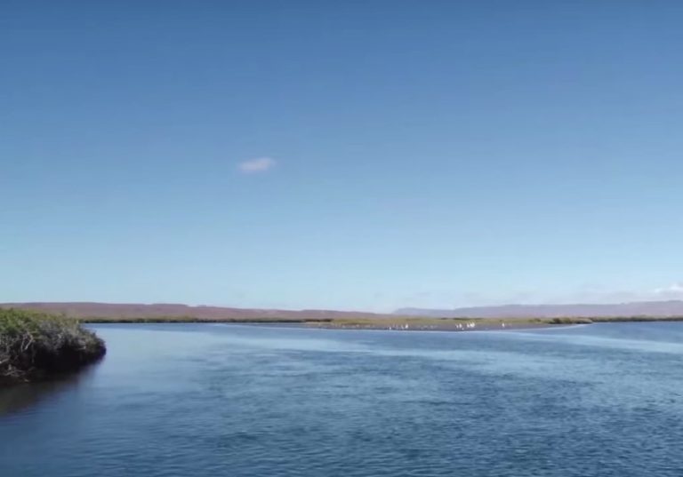 Playas de BCS: ESTERO EL COYOTE, MULEGÉ, BCS