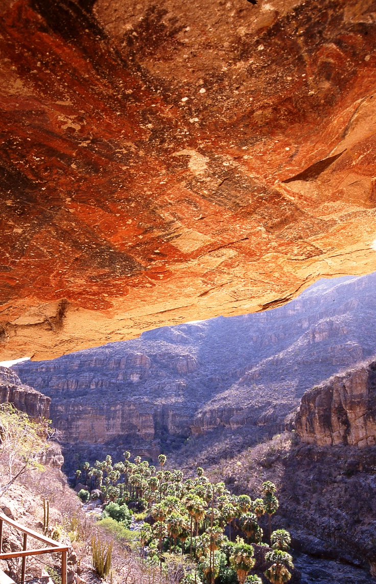 Pinturas rupestres de BCS: Cueva la pintada,Mulegé