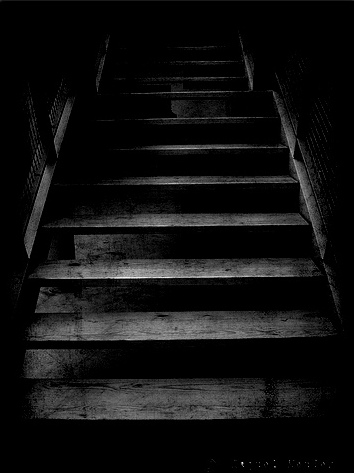 Y seguimos pidiendo la palabra: LOS DIÁLOGOS DE ORTRO XV y XVI