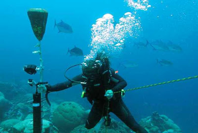 BIOLOGÍA MARINA: UNA PROFESIÓN ENTRE EL ENSUEÑO Y LA REALIDAD