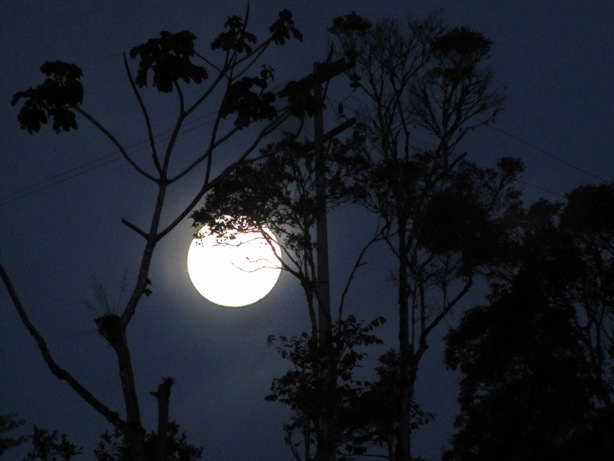 Y seguimos pidiendo la palabra: EXTRAÑOS VISITANTES (07-Jun-14)