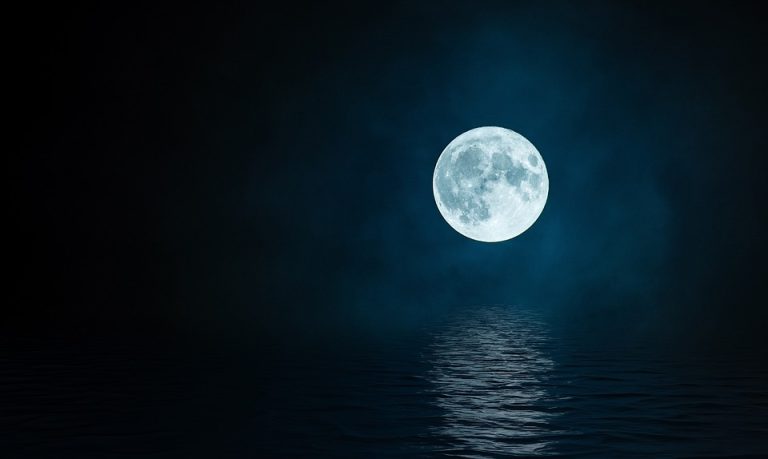 Y seguimos pidiendo la palabra: NOCHE DE LUNA LLENA