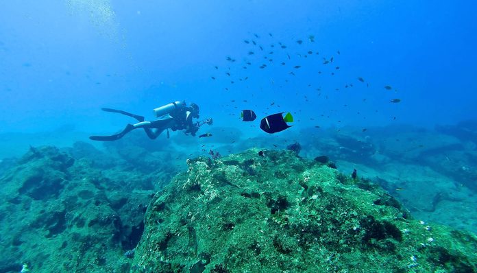 Cabo-Pulmo-en-Baja-California-Sur