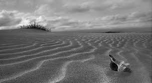 zoo-img-0-1673531f37-1