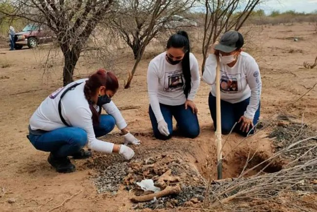 Salud mental sudcalifornia: Madres buscadoras: la influencia de las mamás en la sociedad