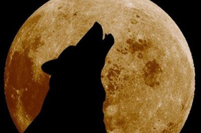 PRIMERA LUNA LLENA DEL 2025: LUNA DEL LOBO, DÓNDE Y CUÁNDO SE PODRÁ VER