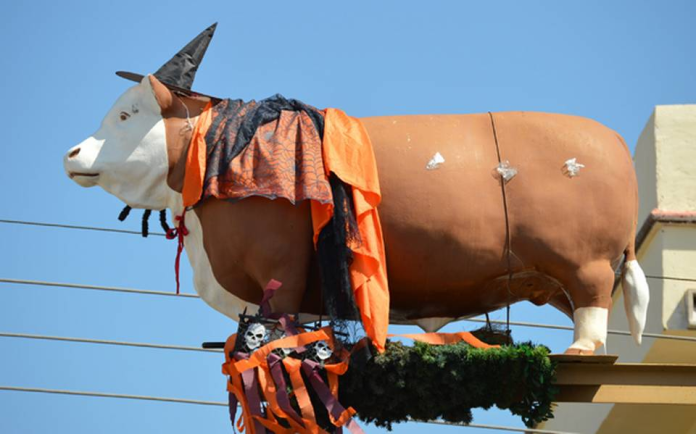 zoo-img-0-f221904bb3-1