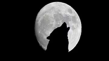 PRIMERA LUNA LLENA DEL 2025: LUNA DEL LOBO, DÓNDE Y CUÁNDO SE PODRÁ VER