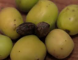 CULCO BCS - CHUNIQUE En sudcalifornia llamamos “chunique”... | Facebook