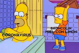 Resultado de imagen de coronavirus broncolin