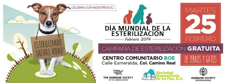 Día Mundial de la Esterilización