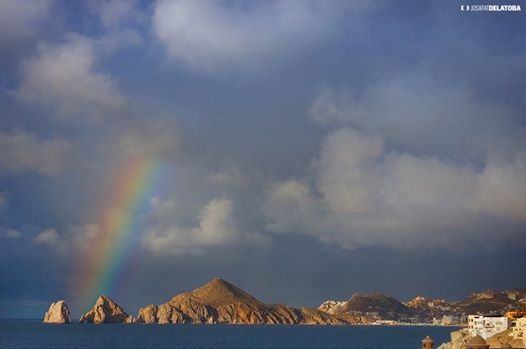 LO QUE NOS DEJÓ ODILE