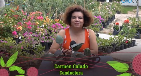 Ola Carmen, 16 de Noviembre de 2013