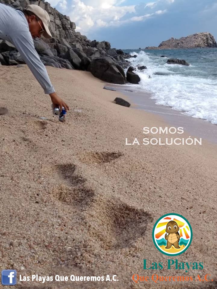 Las playas que queremos A.C.: ¿Quienes somos?