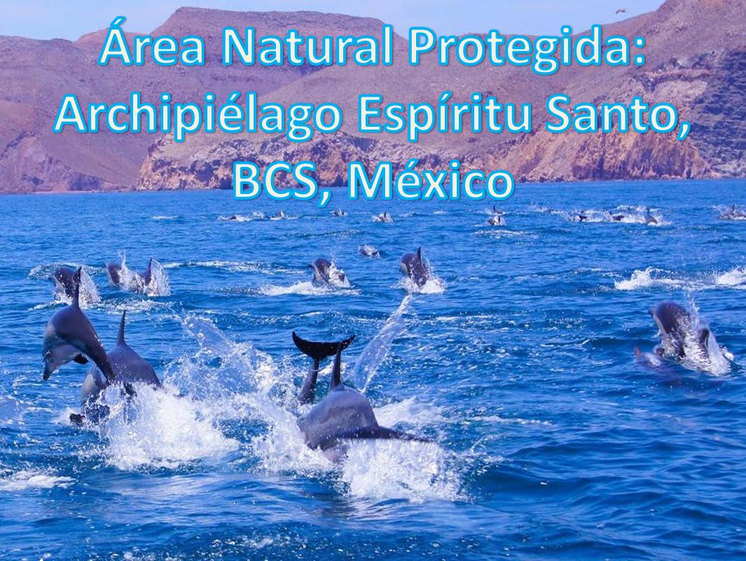 Area Natural Protegida: Archipielago Espiritu Santo, BCS, Mexico