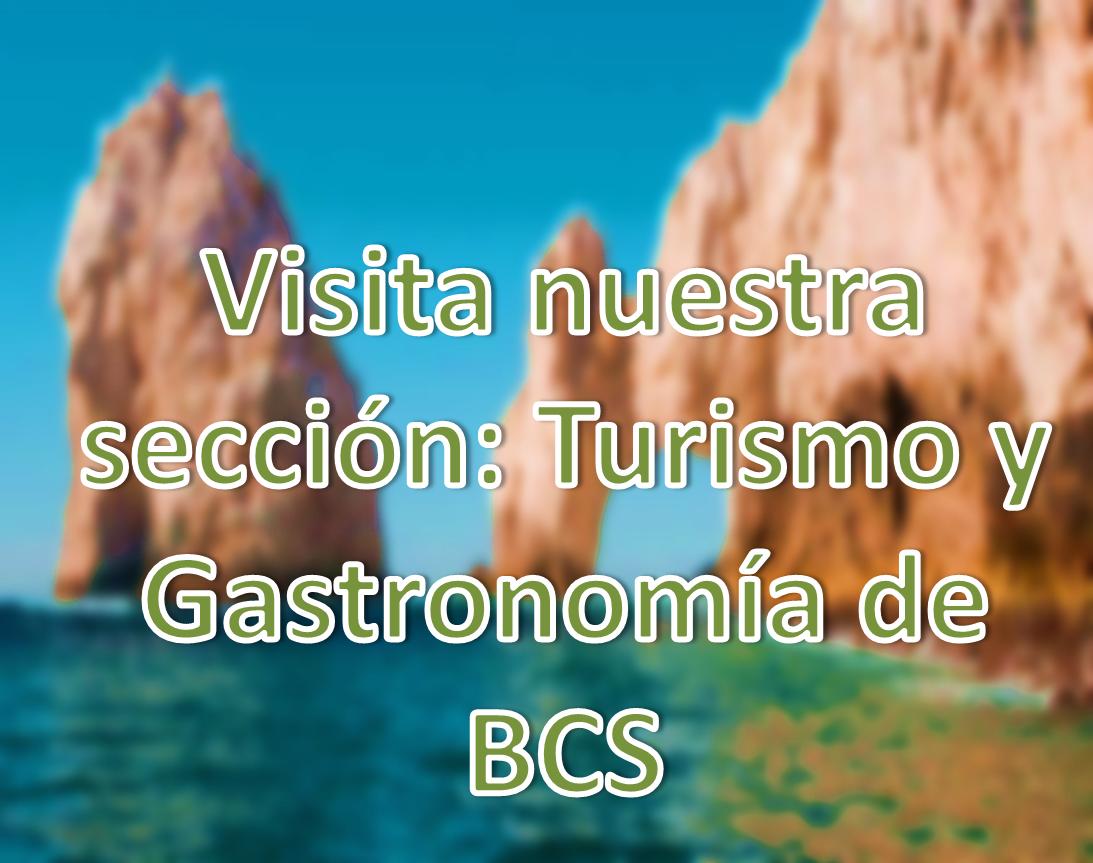 Turismo y Gastronomia en BCS