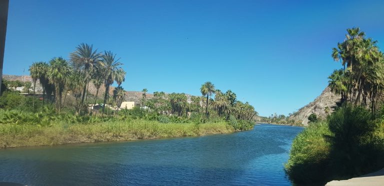 PRIORIDAD DE BCS CUIDAR MEDIO AMBIENTE: ÁLVARO DE LA PEÑA