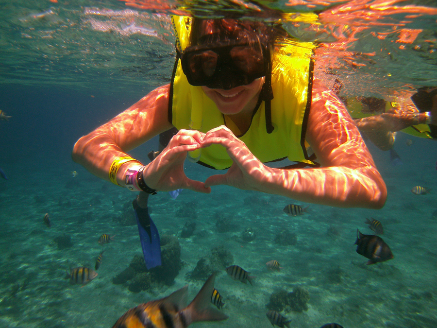 snorkel BCS