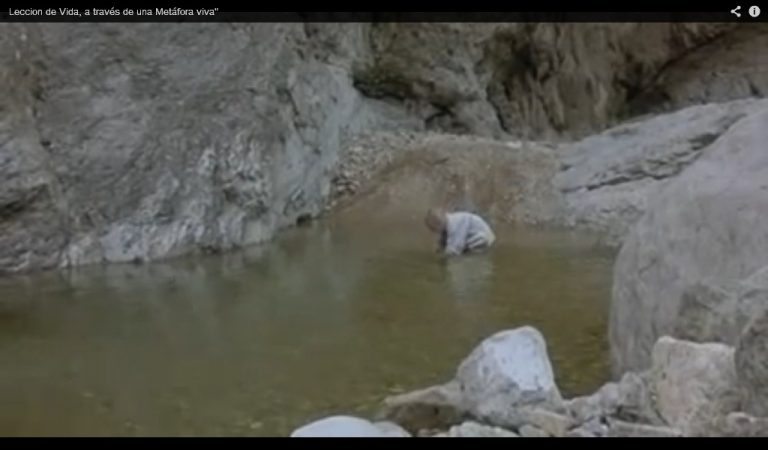 Lección de vida, a través de una metáfora viva