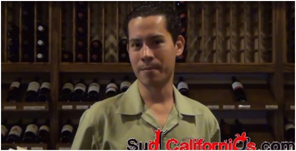 Te recomendamos: VINOS