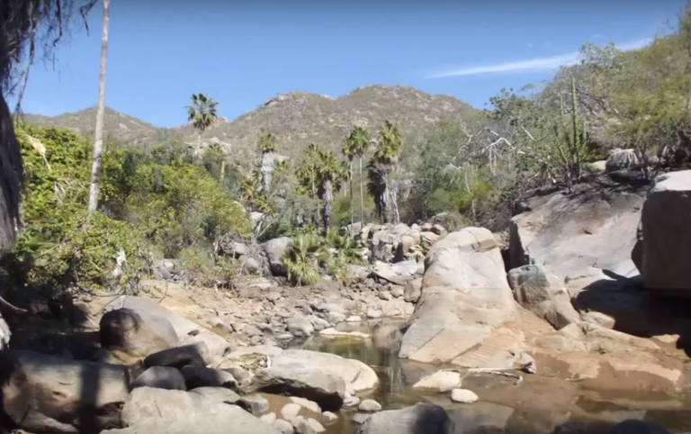Sierras, cerros y volcanes de BCS: SIERRA DEL NOVILLO