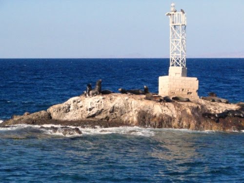 Islas sudcalifornias: ISLOTE LA REINA, ISLA CERRALVO, BCS