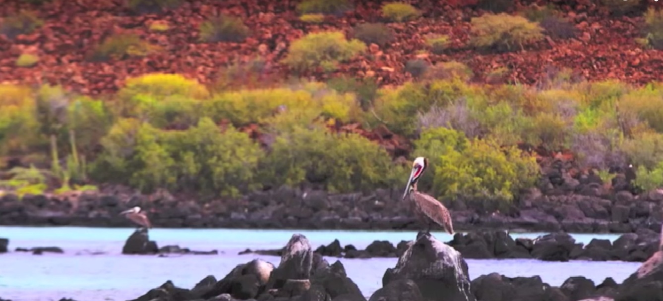Parque_Nacional_de_La_Bahia_de_Loreto