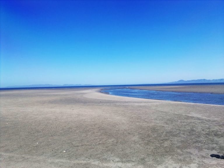 Postales de BCS: SAN BUTO, COMONDÚ, BCS