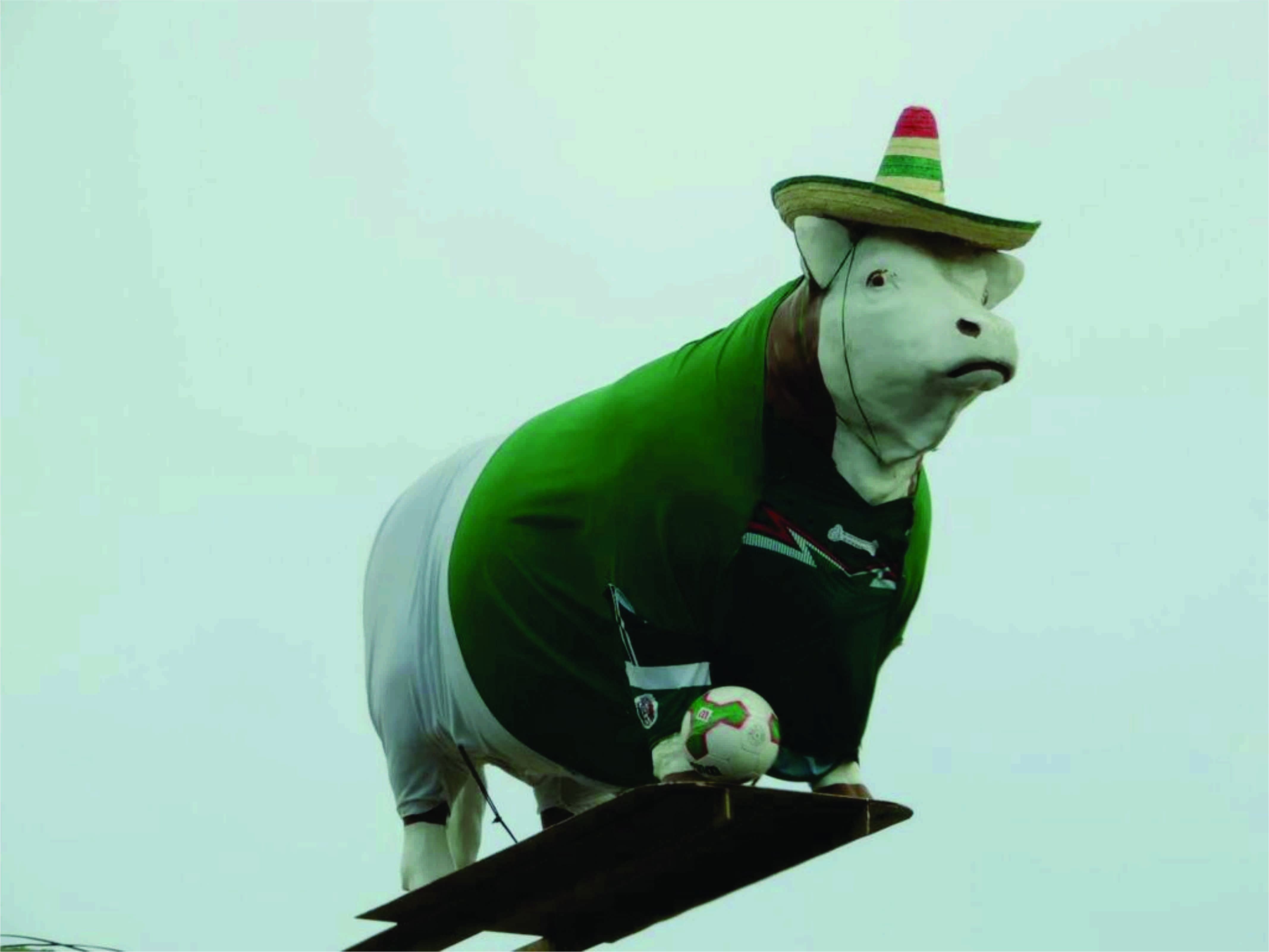 sudcalifornios_vaquita_futbol vaquita_futbol